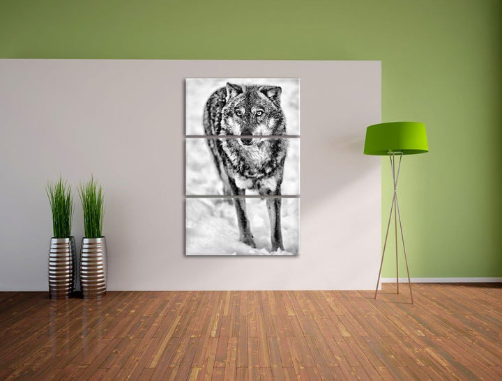 Pixxprint Monocrome, Wolf in Schneelandschaft 3-Teiler Leinwandbild 120x80 Bild auf Leinwand