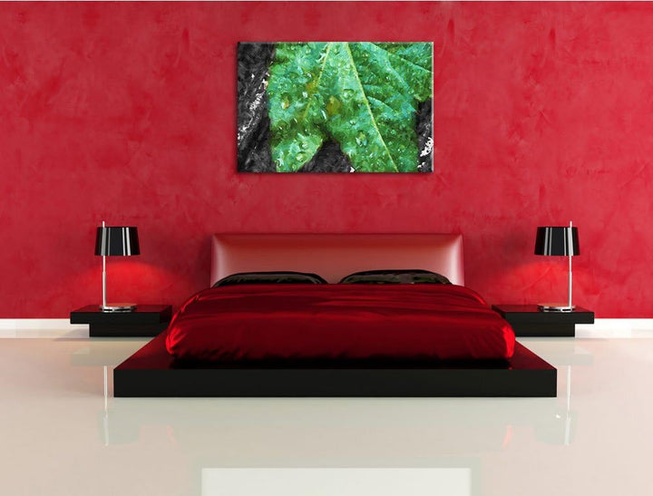 viele kleine Regentropfen auf Blatt schwarz/weiss Deluxe Format: 100x70 cm auf Leinwand, XXL riesige