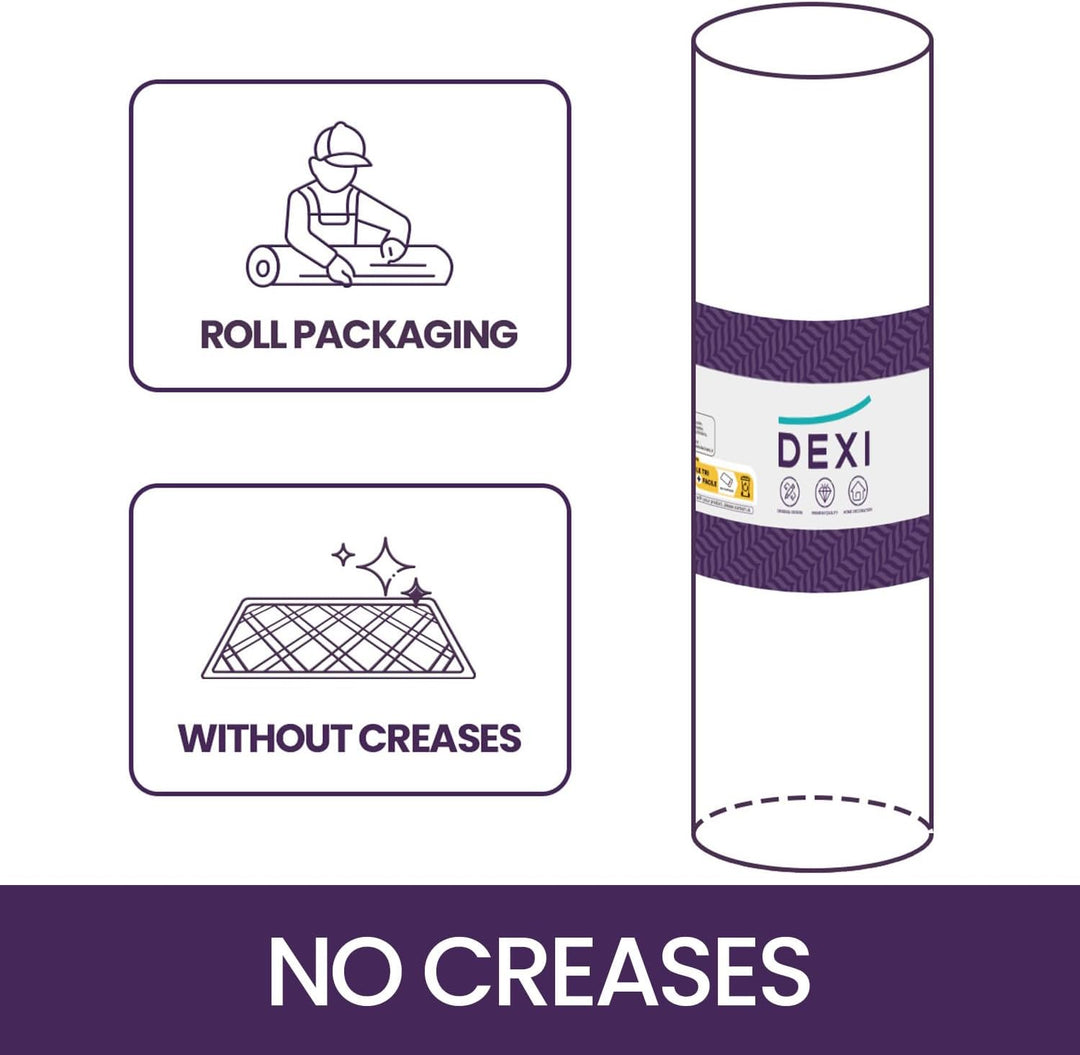 DEXI Schmutzfangmatte Innen 81 x 122 cm, rutschfest Fussmatte waschbar, absorbierend Fussmatte, Dünn