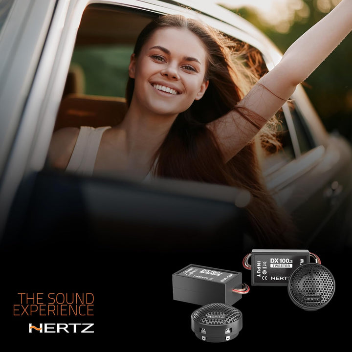 Hertz Dieci DT-24.3 Höchtöner mit Frequenzweichen