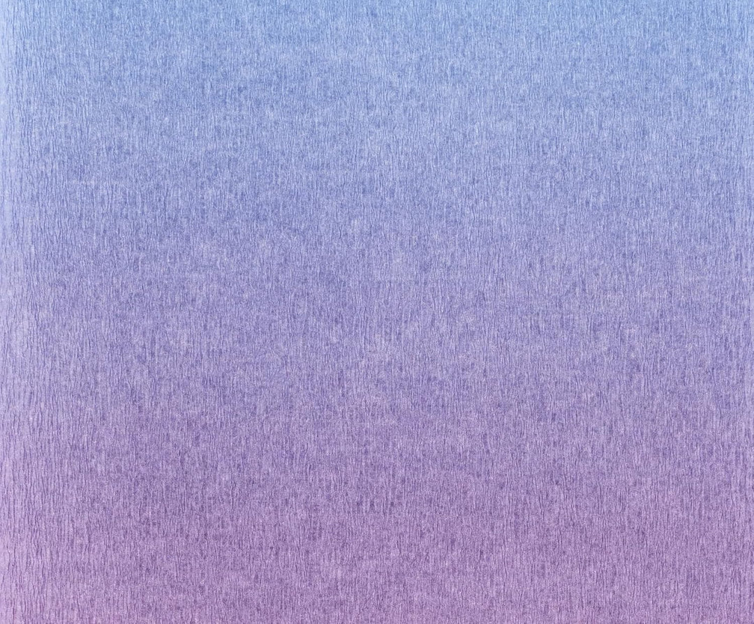 folia 8201650 - Krepppapier, 10 Rollen in regenbogen, jede Rolle ca. 50 x 250 cm, 32 g/m², sehr elas