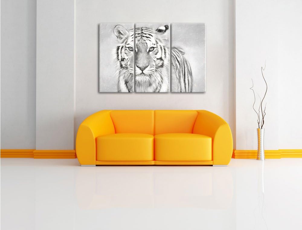 Pixxprint Tiger in als Leinwandbild 3 teilig/Grösse: 3 Teilig (120x80) / Wandbild/Kunstdruck/fertig