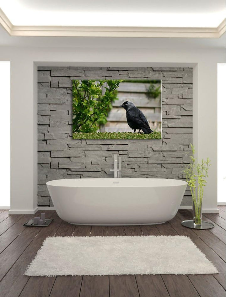 schöner schwarzer Vogel auf Gartenwiese Leinwand, XXL riesige Bilder fertig gerahmt mit Keilrahmen,