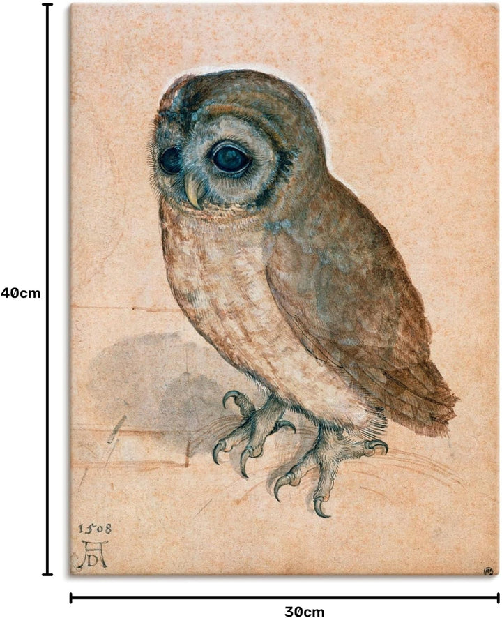 ARTland Leinwandbilder Wandbild Bild auf Leinwand 30x40 cm Wanddeko Tiere Vogel Eule Käuzchen 1508 R