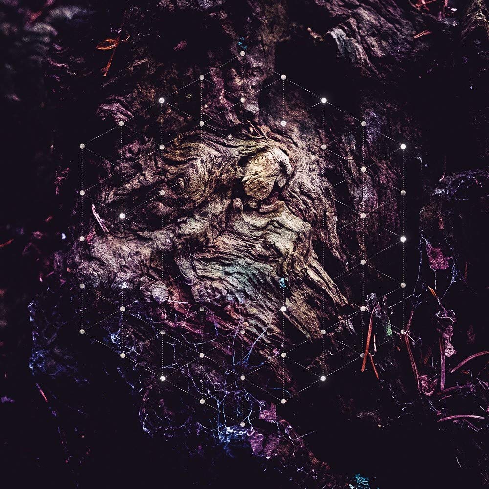 Unfold the God Man, Vinyl
