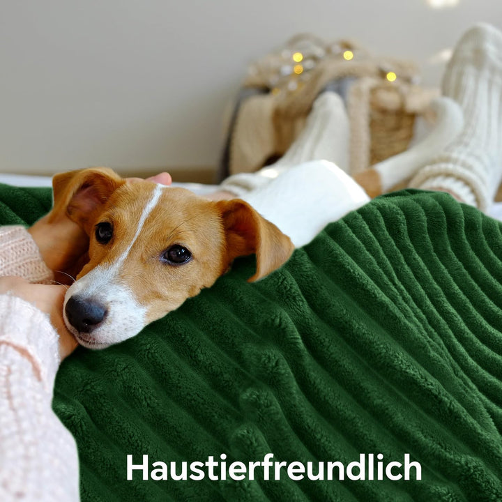 BEDELITE warme Decke Sherpa Kuscheldecke Flauschig Dunkelgrün 150x200 | dicke Deko Fleecedecke, Cord