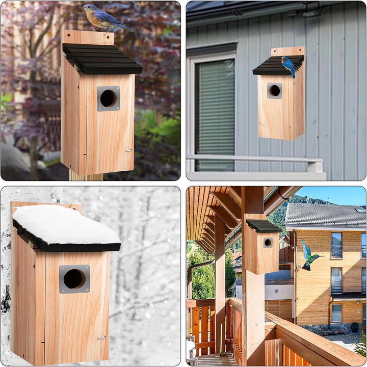 Nistkasten für Vögel für Draussen Wetterfest, Hölzernes Vogelhaus zum Aufhängen mit Raubvogel-Schutz