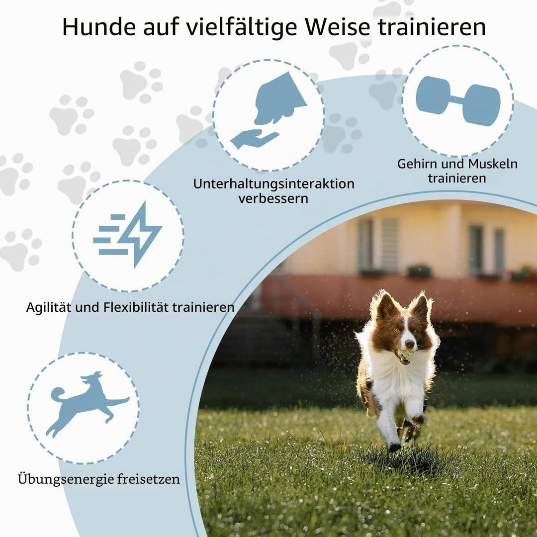 Agility Set Hunde,Steckhürdenset Hund,Hund Hürden,Kinder Agility Hürden Hindernisse für Pferde Hunde