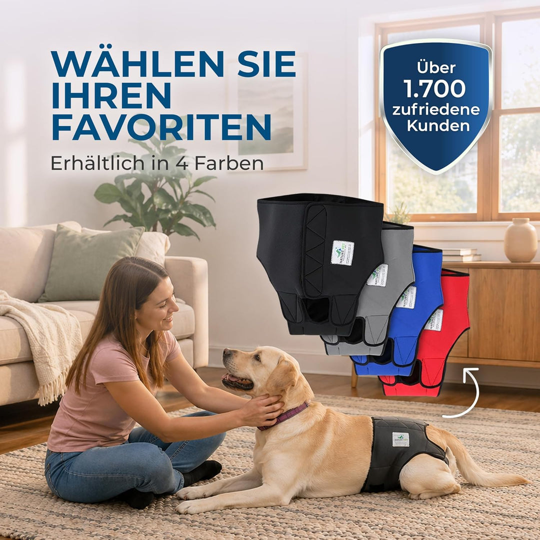 Läufigkeitshose für Hündinnen 2.0 - Hundewindeln aus hochwertigem perforiertem Neopren für einen opt