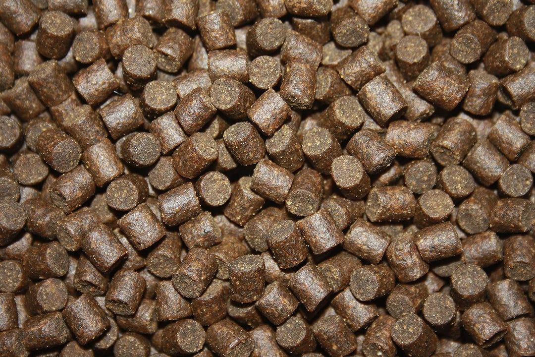Koifutter Sinkfutter Koi Winterfutter sinkende Koi Pellets kräfteschonend Energiefutter für Koi mit