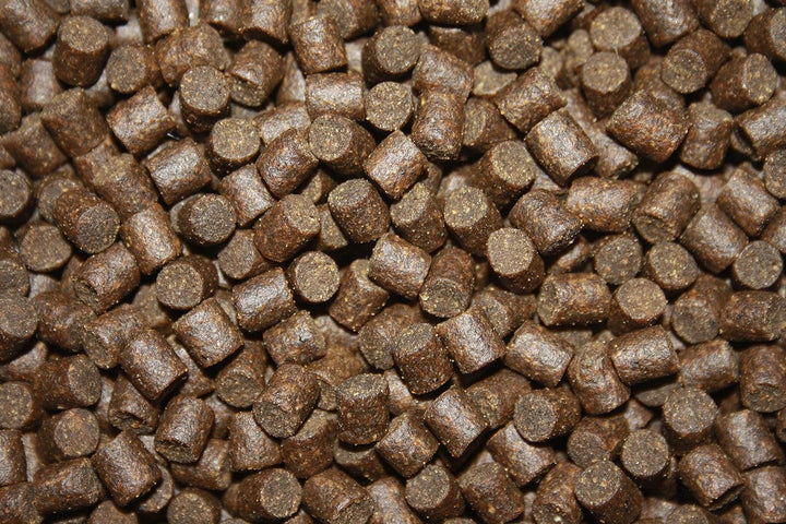 Koifutter Sinkfutter Koi Winterfutter sinkende Koi Pellets kräfteschonend Energiefutter für Koi mit