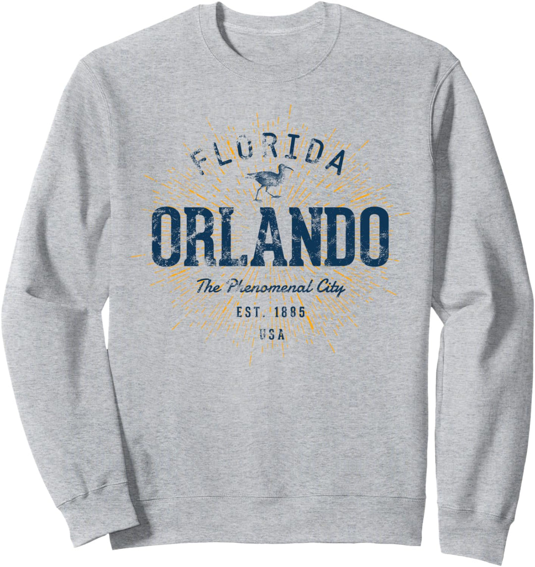Vereinigte Staaten Urlaub Souvenir Vintage Orlando Sweatshirt