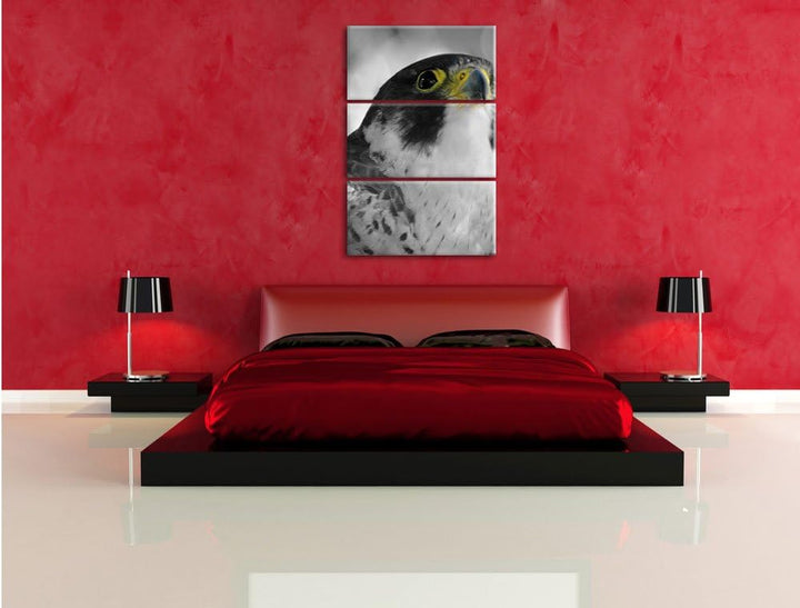 Pixxprint schöner anmutiger Adler / 3-Teilig/Gesamtmass 120cm Leinwandbild bespannt auf Holzrahmen/W