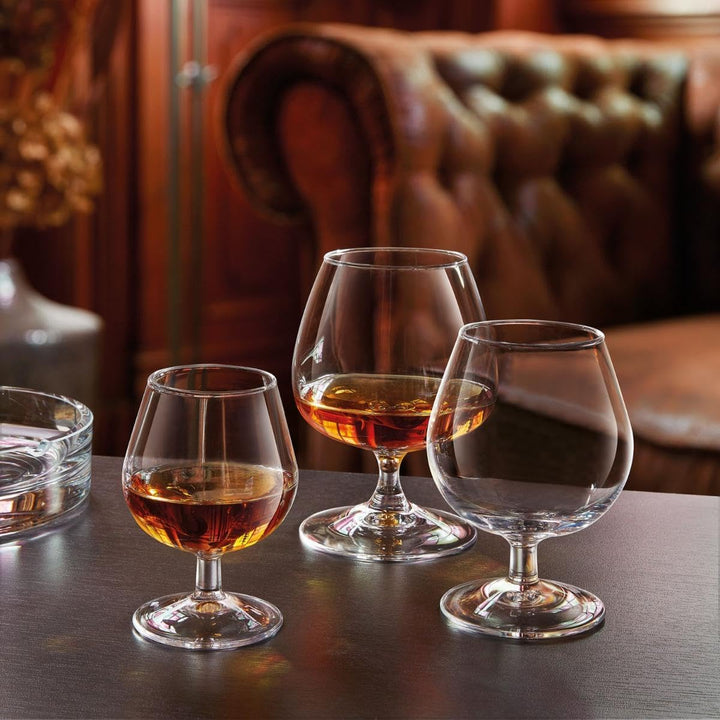 Arcoroc ARC 62664 Degustation Cognacschwenker, Cognacglas, 410ml, Glas, transparent, 6 Stück, 410ml