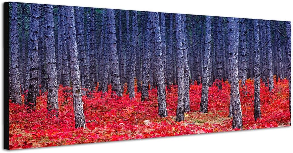 Paul Sinus Art Panoramabild auf Leinwand und Keilrahmen 150x50cm Ukraine Wald Baumstämme Blumen rot