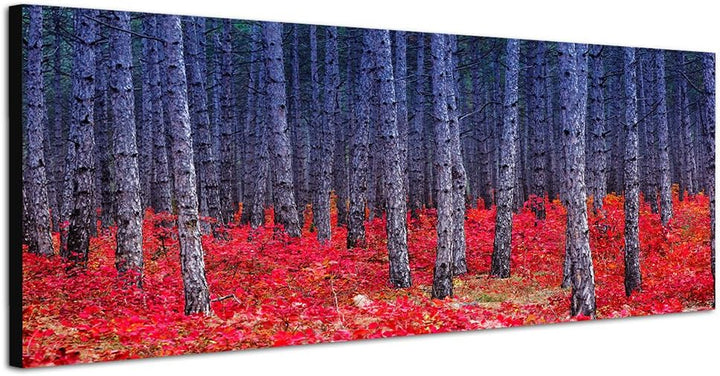 Paul Sinus Art Panoramabild auf Leinwand und Keilrahmen 150x50cm Ukraine Wald Baumstämme Blumen rot