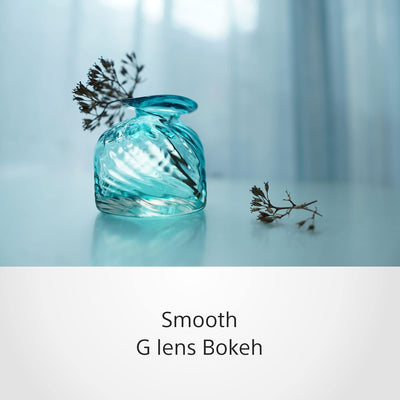 Sony E 15 mm F1.4 G | APS-C-Weitwinkel-Objektiv mit Festbrennweite (SEL15F14G) Single, Single