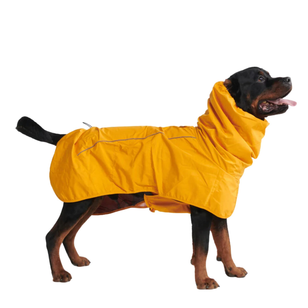 Spark Paws Hunderegenmantel, wasserdichte Winddichte Regenjacke, für kleine, mittlere, grosse und ex