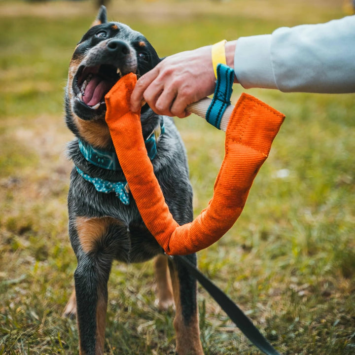 Bull Fit Hufeisen Beisswurst für Hunde 30 cm, Sehr Robustes Hundespielzeug zum Training, Tauziehen u