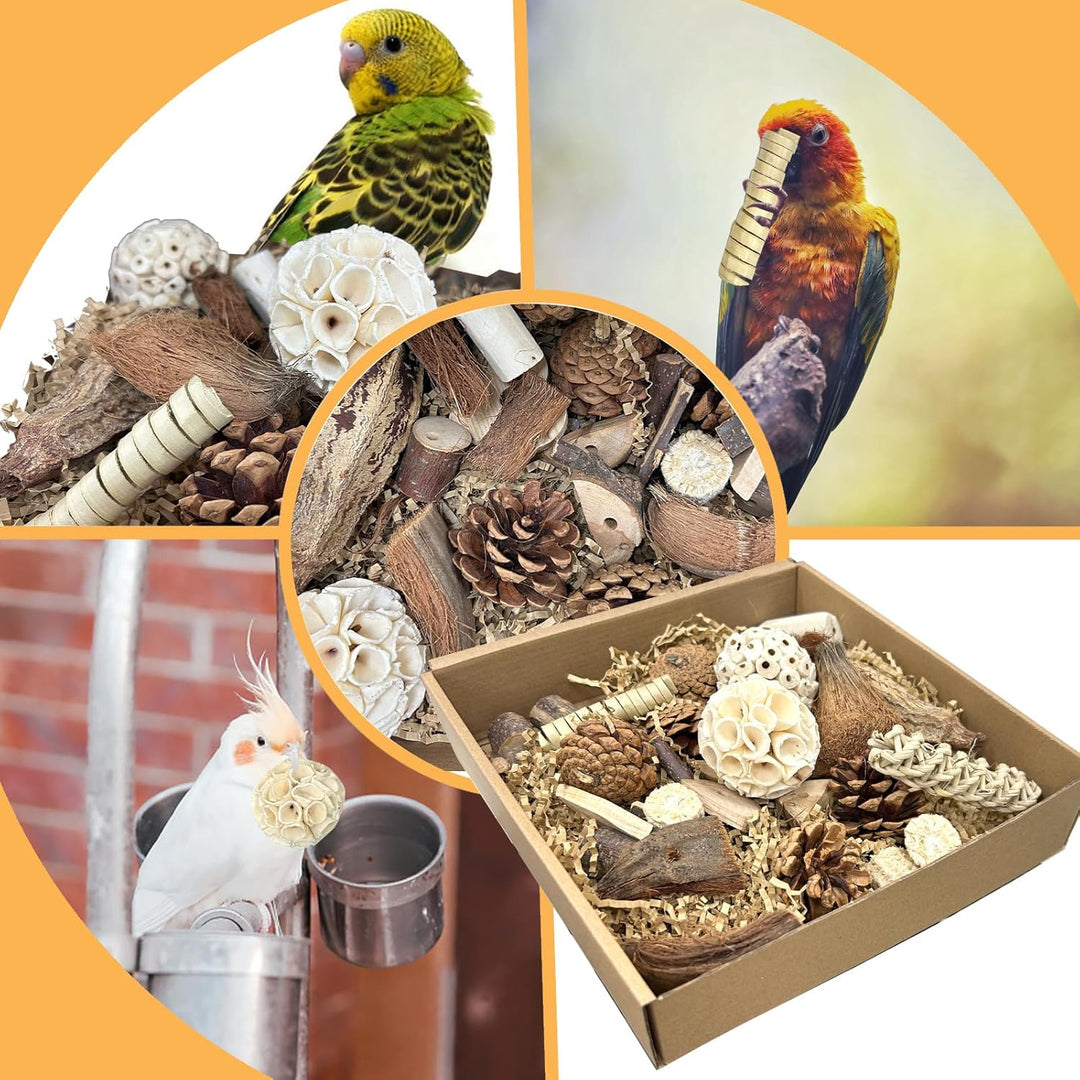 Felicify Vogelspielzeug, Papageienspielzeug, Papagei Kauspielzeug, Kaubare Vogel Spielzeug, Vogelkäf
