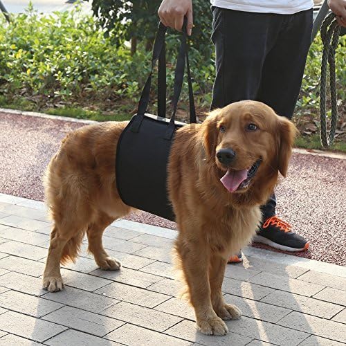 Portable Dog Lifting Support Harness - Hund Hilfe mit schwachen Vorder- oder Hinterbeinen Steh auf,
