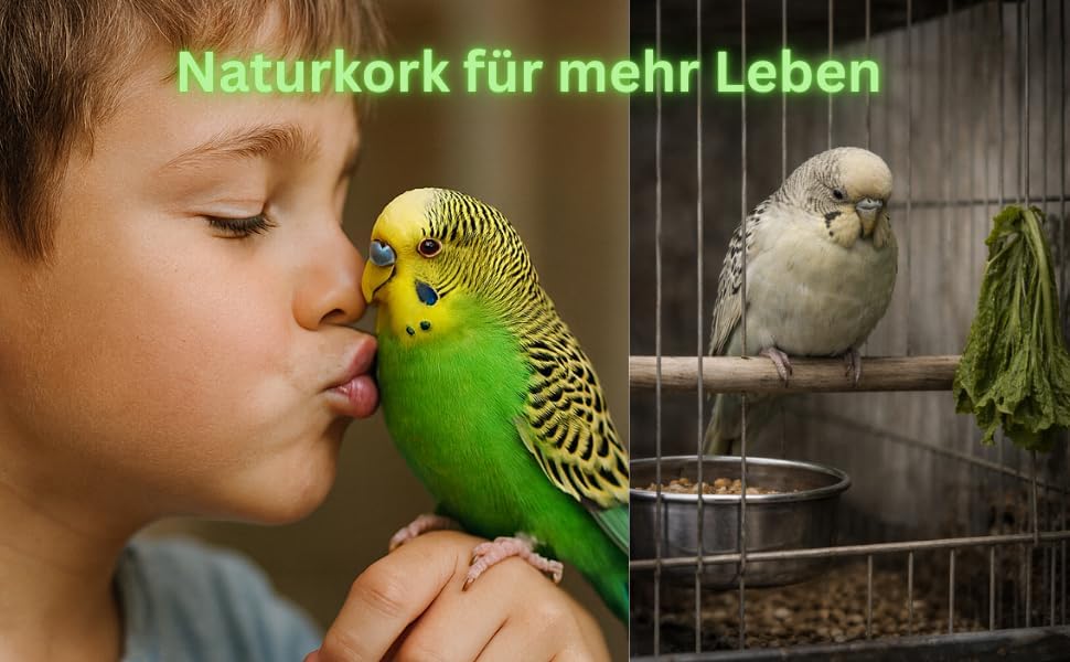 20 x 10cm plastikfrei - Korksitzbrett für Wellensittich + 2 Knabberkorken aus der Korkrinde hitzebeh