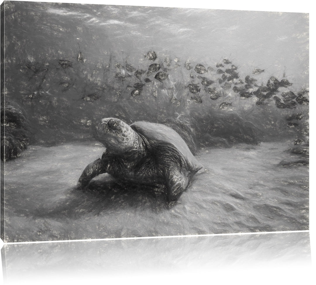 Schildkröten Kohle Effekt, Format: 100x70 auf Leinwand, XXL riesige Bilder fertig gerahmt mit Keilra
