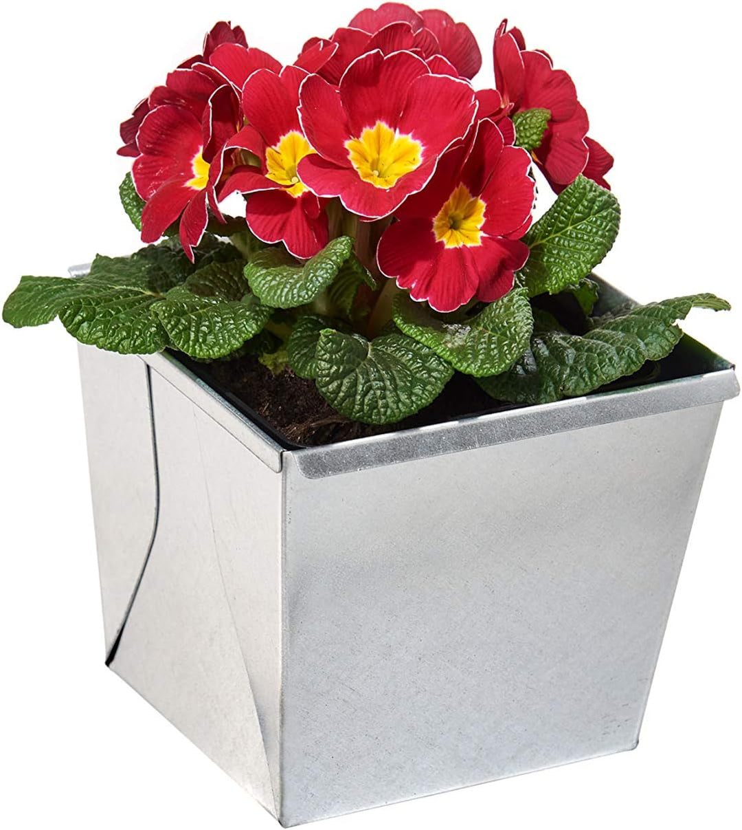 Gabioka flowerbox small (4, verzinkt) Blumenkasten/Gewürzlinge/Gartendeko/Pflanzkasten für Gabionen