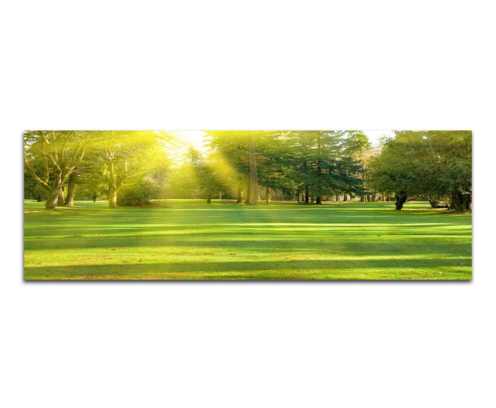 Paul Sinus Art Panoramabild auf Leinwand und Keilrahmen 120x40cm Wiese Bäume Wald Sonnenstrahlen Frü