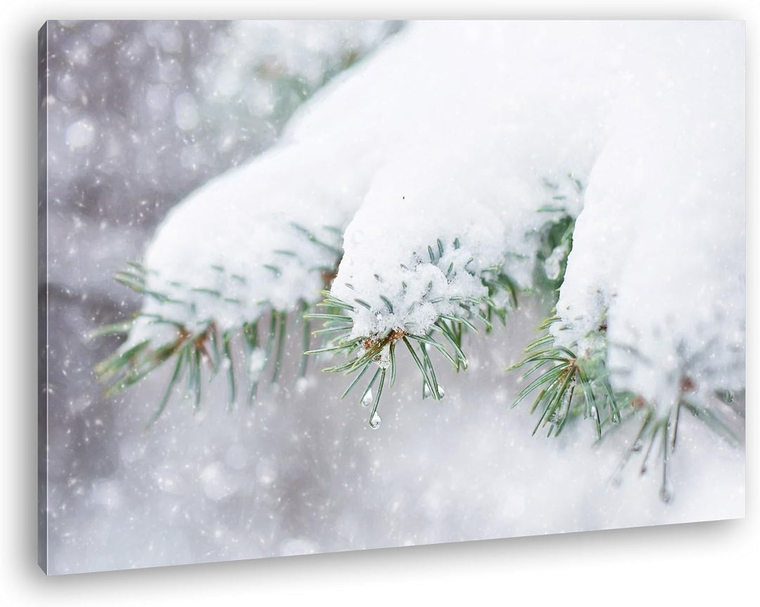 deyoli Schneebedeckte Kiefernzweige Format: 80x60 als Leinwandbild, Motiv fertig gerahmt auf Echthol