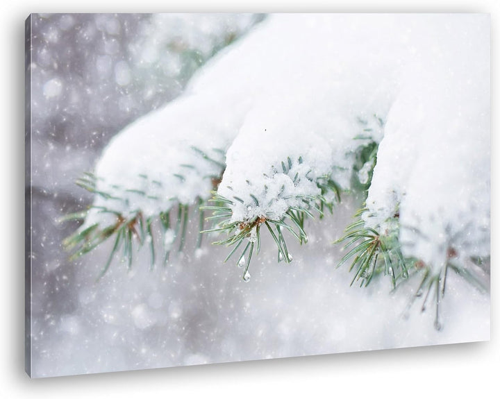 deyoli Schneebedeckte Kiefernzweige Format: 80x60 als Leinwandbild, Motiv fertig gerahmt auf Echthol