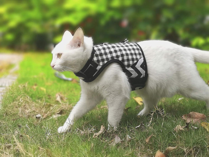 Yizhi Miaow Katzengeschirr und Leine zum Spazierengehen, ausbruchsicher, verstellbares Katzengeschir