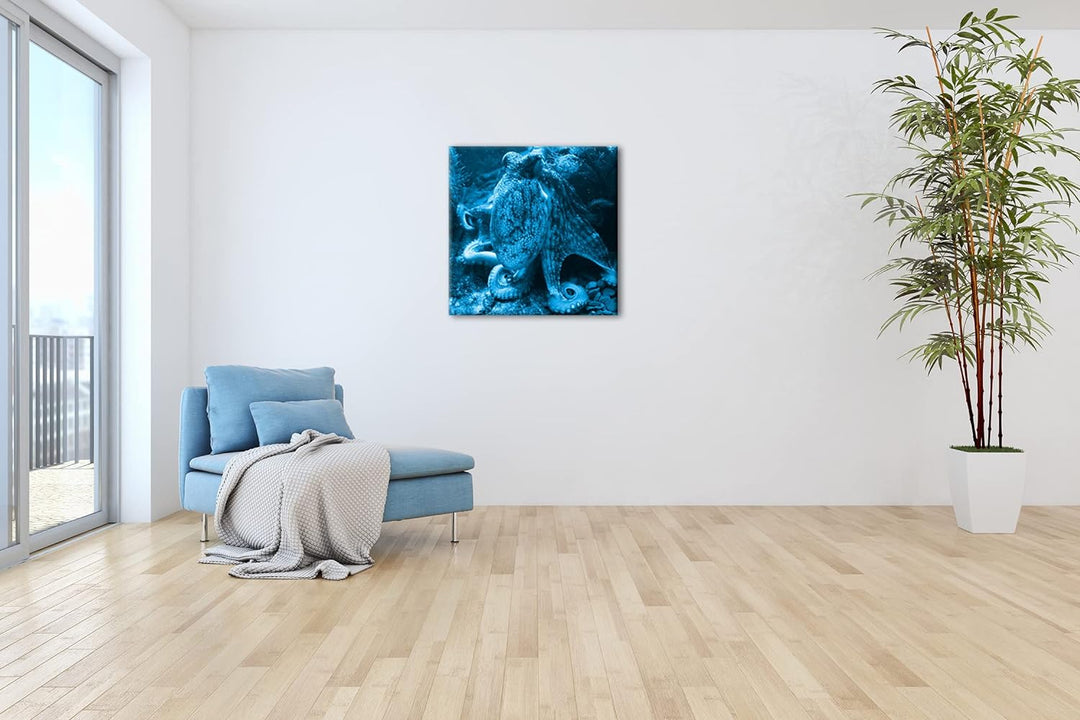 deyoli Oktopus am Korallenriff Format: 70x70 Effekt: Monocrome Blau als Leinwandbild, Motiv fertig g