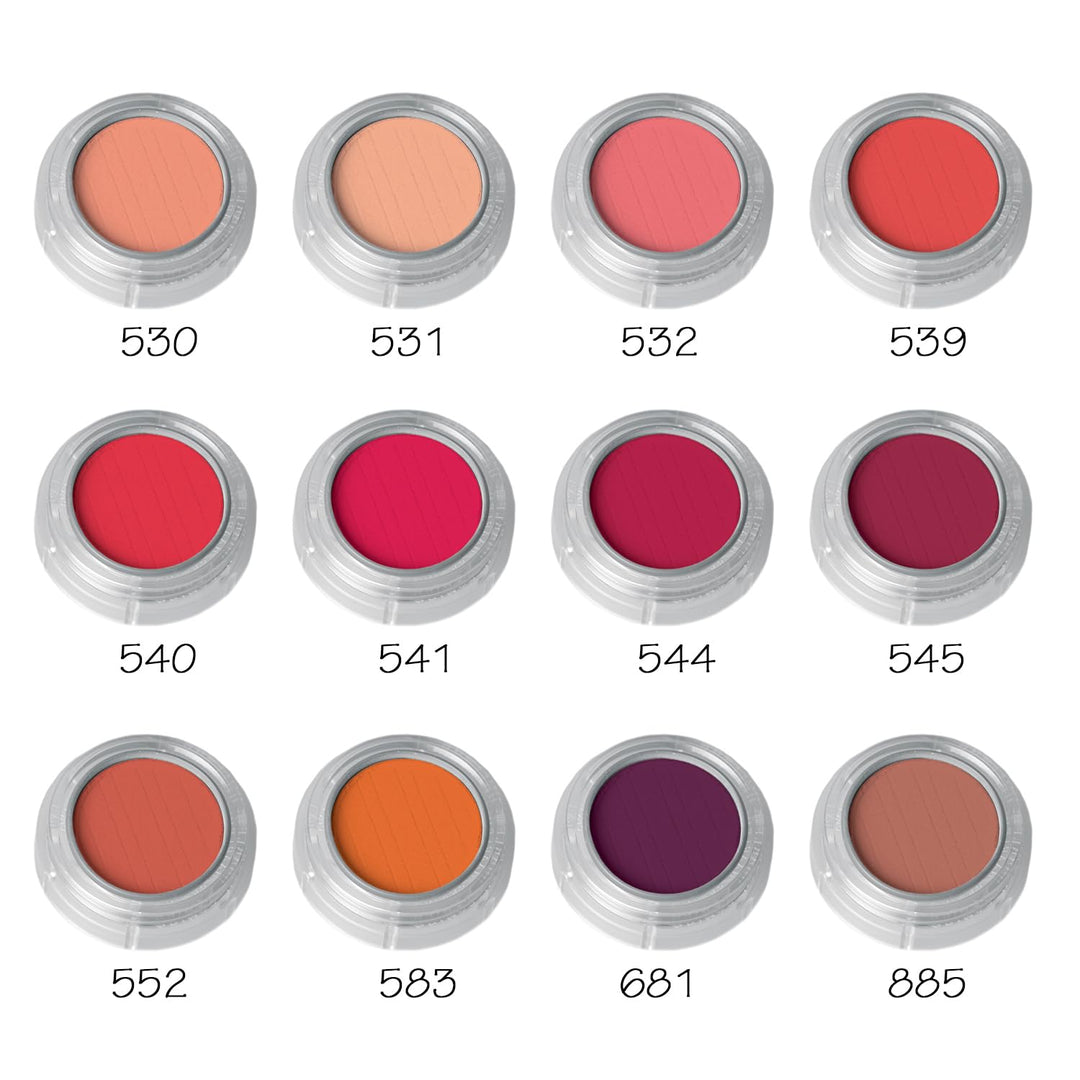 Rouge-/Lidschattenpalette RC mit 12 Farben