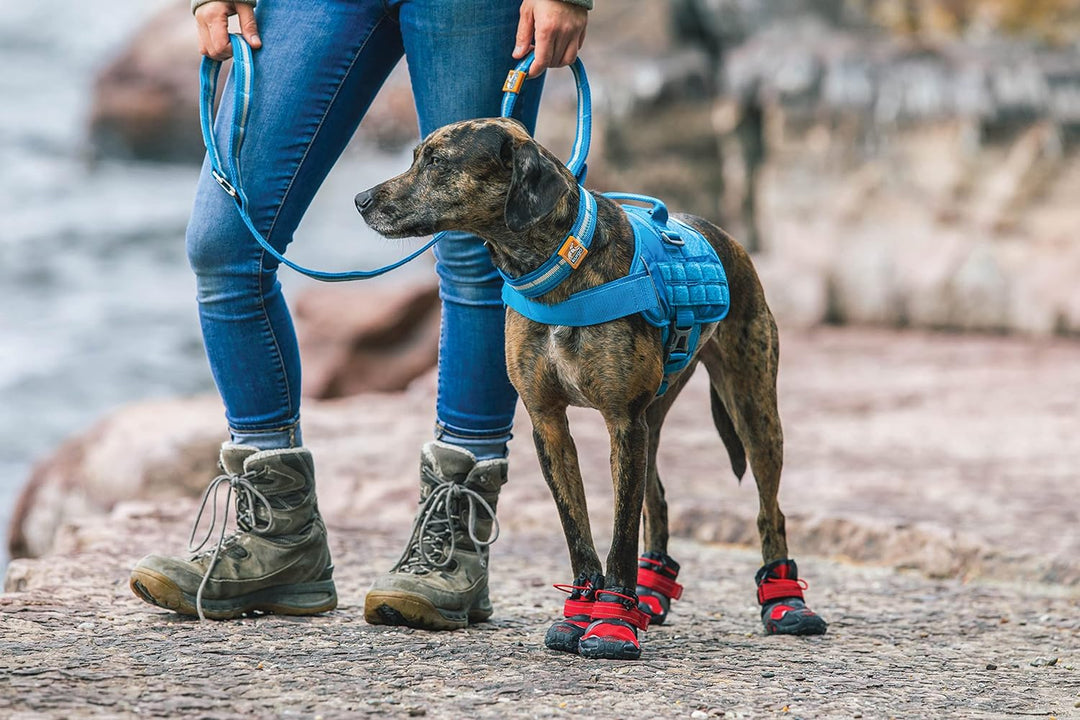 Kurgo Hundeschuhe Blaze Cross, Zum Schutz der Pfoten, Für jede Jahreszeit, Wasserdicht und reflektie