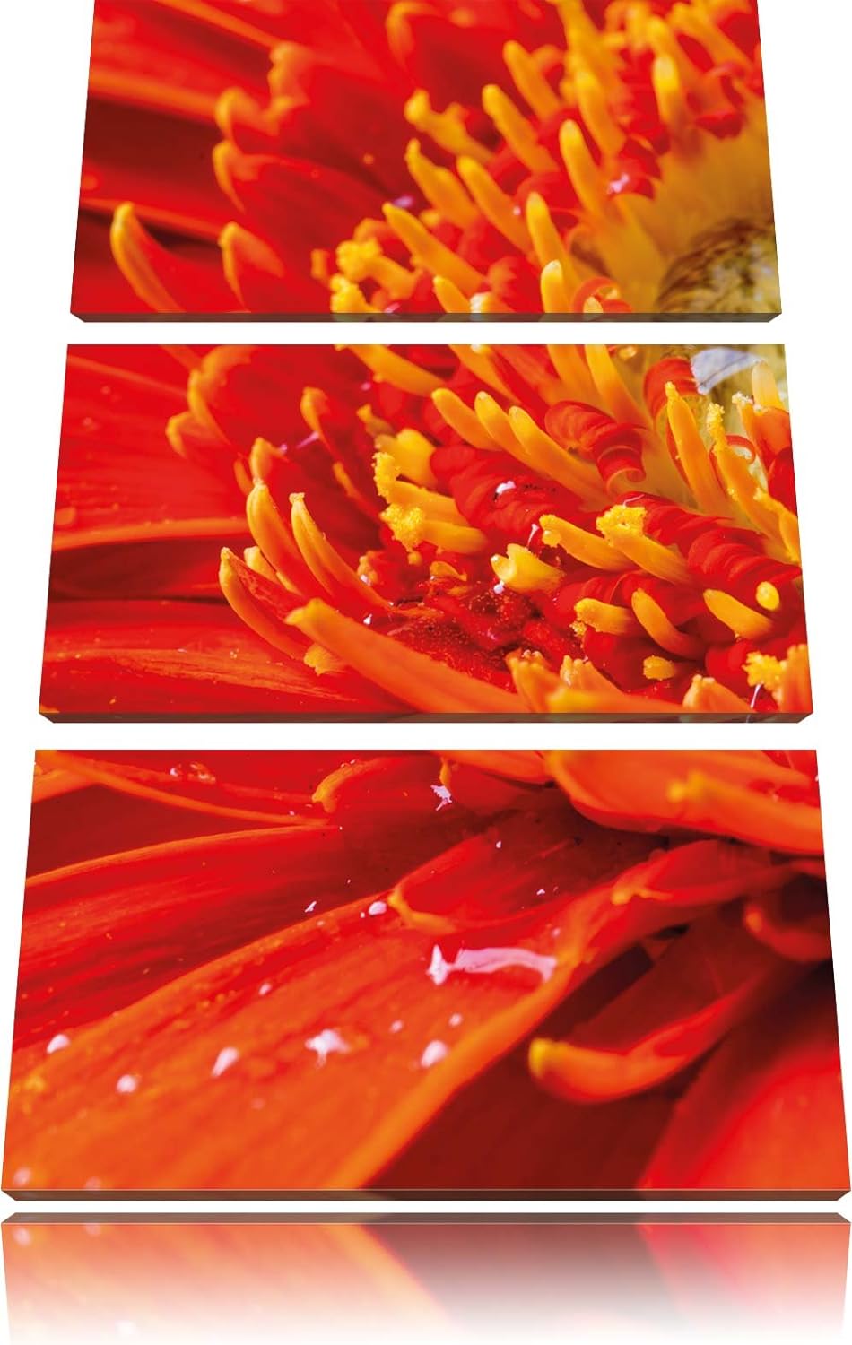 Pixxprint Gerbera mit Wassertropfen / 3-Teilig/Gesamtmass 120cm Leinwandbild bespannt auf Holzrahmen