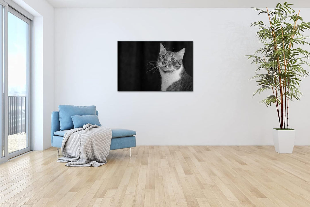 deyoli rot-weiss gefleckte Fellnase Format: 80x60 als Leinwand, Effekt: Schwarz&Weiss, Motiv fertig