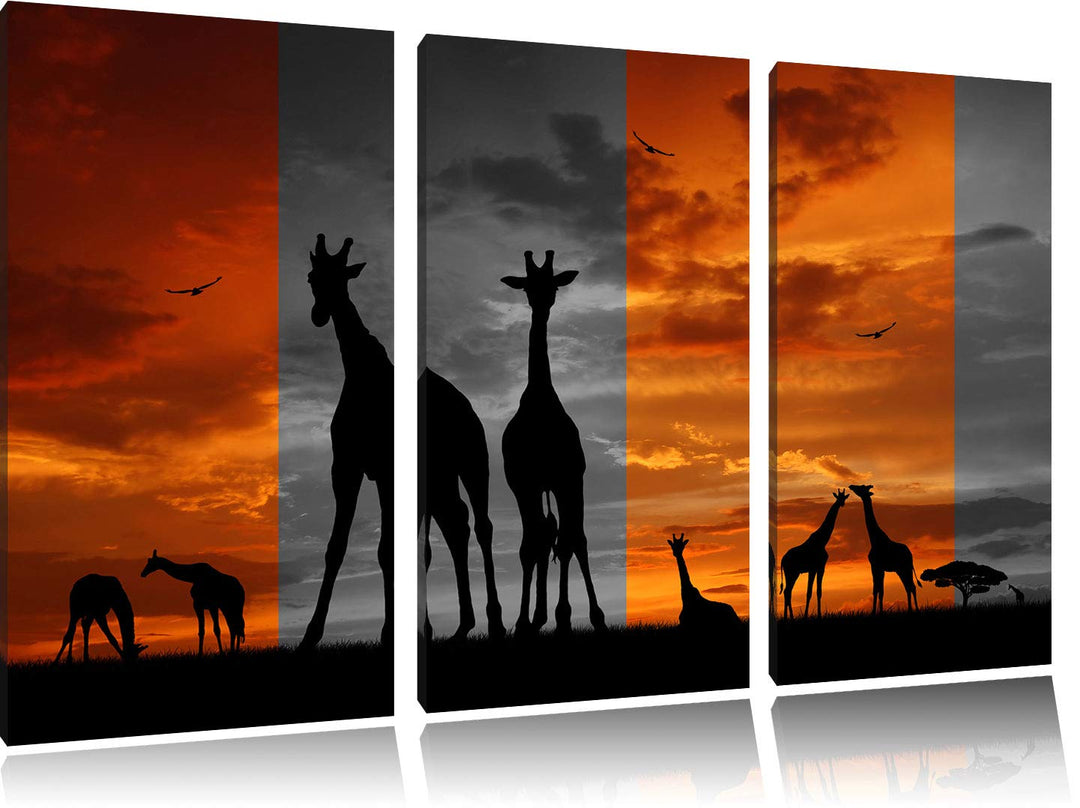 Afrika Giraffen im Sonnenuntergang schwarz/weiss 3-Teiler Leinwandbild 120x80 Bild auf Leinwand, XXL