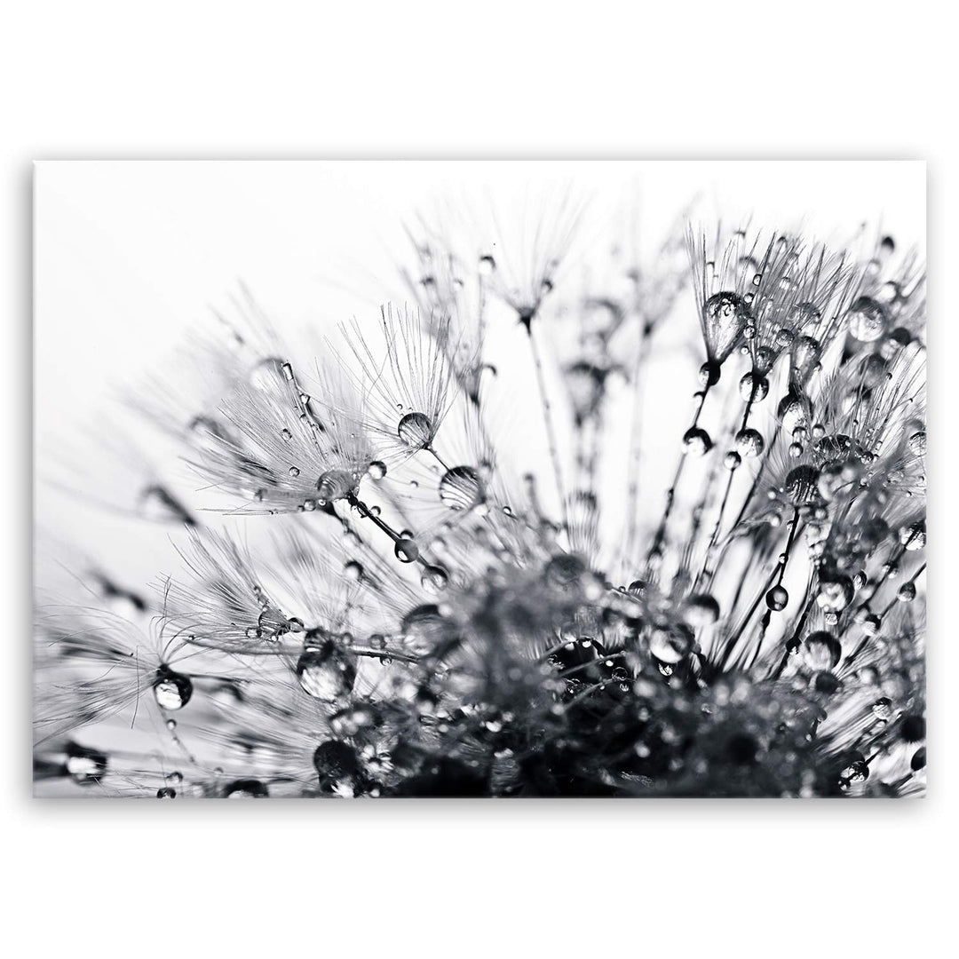 ge Bildet Bild auf Leinwand | Pflanzen-Bilder another world - schwarz weiss H in 70x50 cm als Wandbi