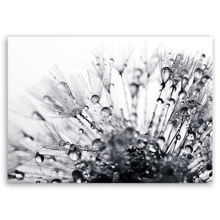 ge Bildet Bild auf Leinwand | Pflanzen-Bilder another world - schwarz weiss H in 70x50 cm als Wandbi