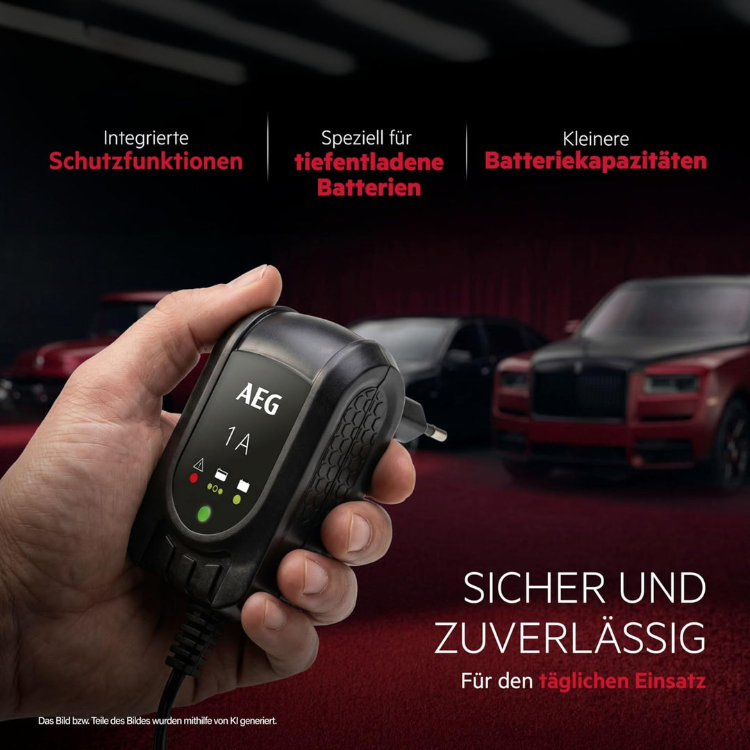 AEG Automotive 97175 Microprozessor Batteriepulser MB 1.0, 12 Volt Batterietrainer 4 stufig, Dauerer