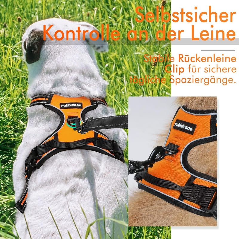 rabbitgoo Hundegeschirr Mittelgrosse Hunde Anti Zug Geschirr Hund mit Kontrolle No Pull Verstellbar