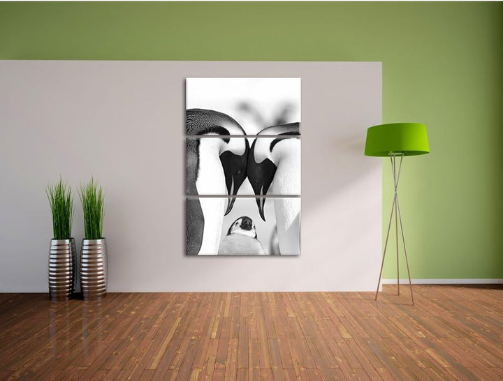 Pixxprint Kaiserpiguinpärchen Liebe als Leinwandbild/Grösse: 3 Teilig (120x80) cm/Wandbild/Kunstdruc