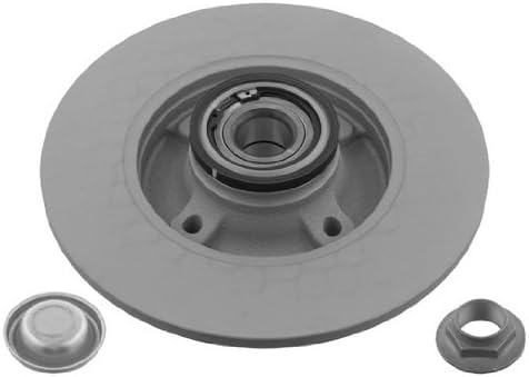 febi bilstein 32782 Bremsscheibe mit Radlager, ABS-Impulsring, Achsmutter und Schutzkappe , 1 Stück