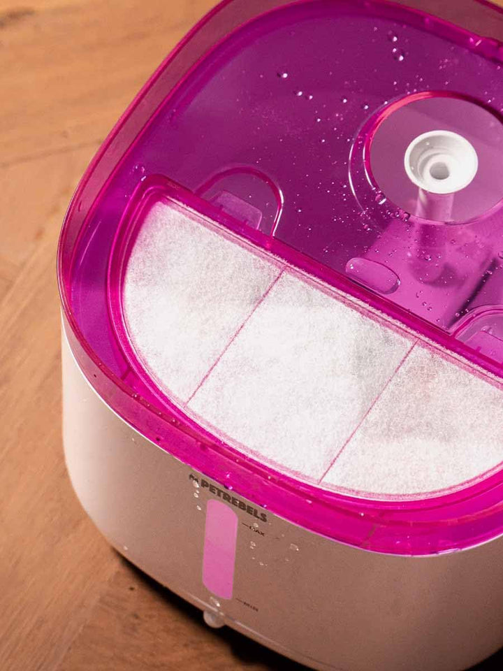 Petrebels Trinkbrunnen für Katze, Jet 19 Katzenbrunnen, Kabellos, mit Bewegungssensor, mit LED, Ultr