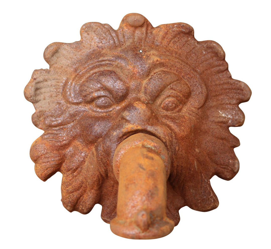aubaho Brunnenauslauf Eisen Löwe Brunnen Wasserspeier Garten Antik-Stil Gargoyle