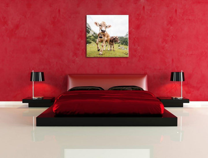 Almkuh auf der Weide, Format: 70x70 auf Leinwand, XXL riesige Bilder fertig gerahmt mit Keilrahmen,