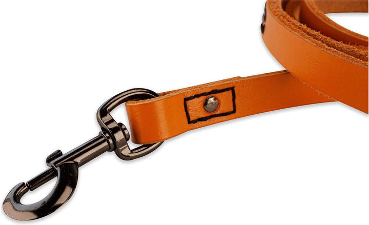 Leder Hundeleine - mit Naht - 220cm - Orange/schwarz Orange/Schwarz 220cm, Orange/Schwarz 220cm