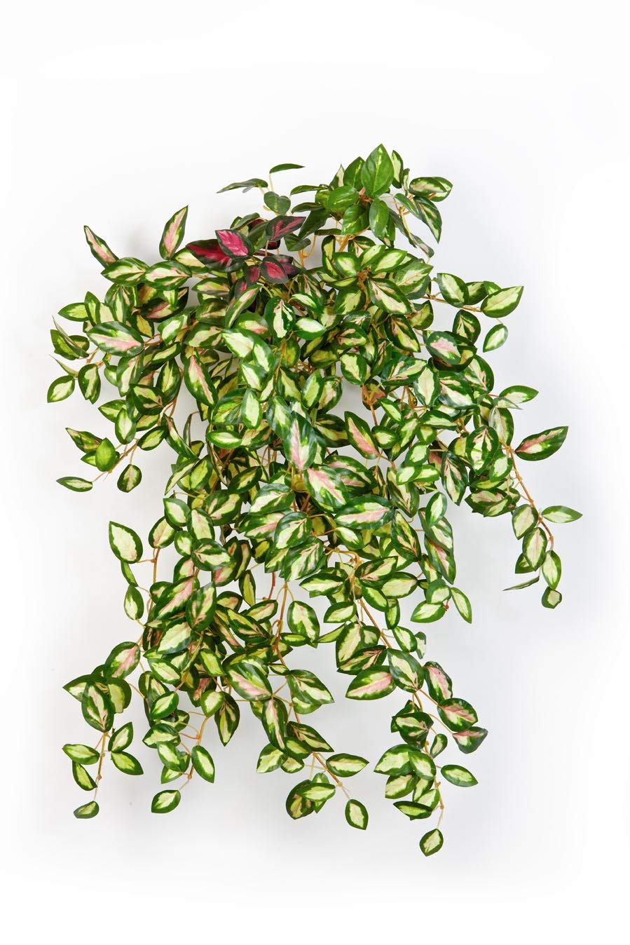 artplants.de Künstliche Tradescantia Zebrina KATYINA, 560 gelb - grün-rot Blätter, 50cm - Kunst Busc
