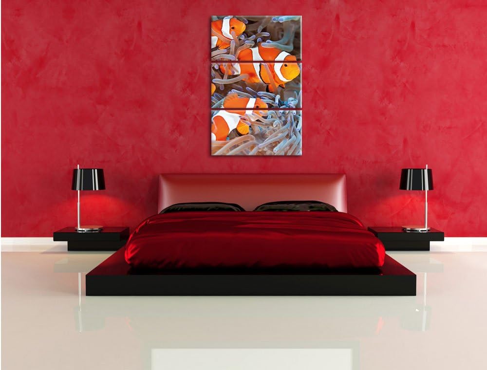 Pixxprint Clown Fische in Anemone als Leinwandbild | Grösse: 3 Teilig (120x80) | Wandbild| Kunstdruc